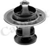 FORD D8NN8575FB Thermostat, coolant